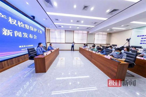 湖北通报知识产权检察保护典型案例 侵权影片2200余部，8人因从事广告业务获刑